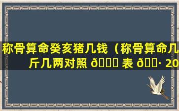 称骨算命癸亥猪几钱（称骨算命几斤几两对照 🐈 表 🌷 2023年）